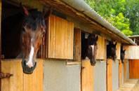 free The Sheddings stable construction quotes
